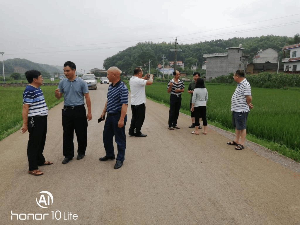 图五 信息反馈